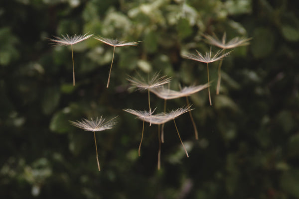 Lampix Announces First PIX Airdrop Slated for October 2