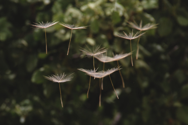 Lampix Announces First PIX Airdrop Slated for October 2